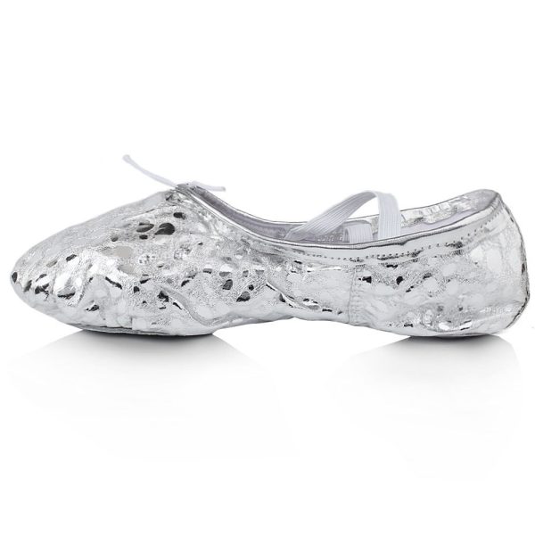 Gold And Silver Stage Performance Shoes